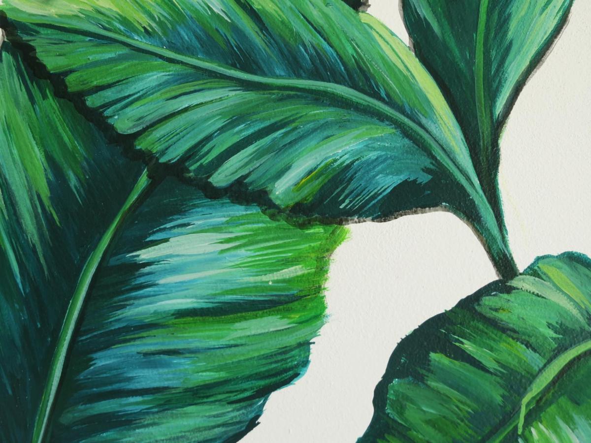 Art Maya Rooms Isla Holbox Luaran gambar