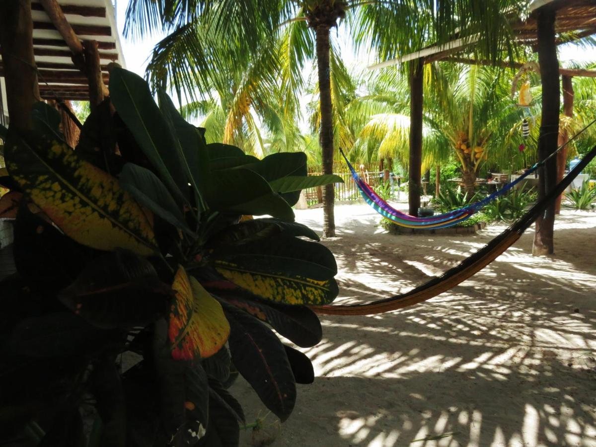 Art Maya Rooms Isla Holbox Luaran gambar